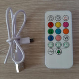 Télécommande multicolore et câble USB inclus avec la veilleuse hibou à LED